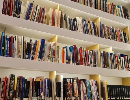 biblioteca del museo